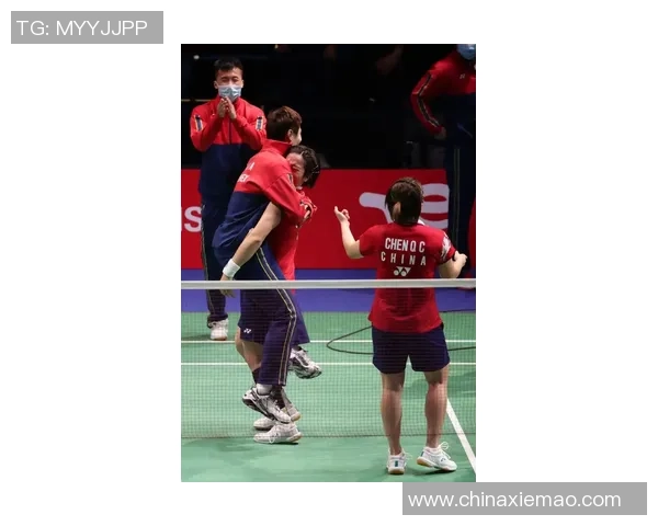 北京羽毛球队总决赛精彩配合分析与表现评估