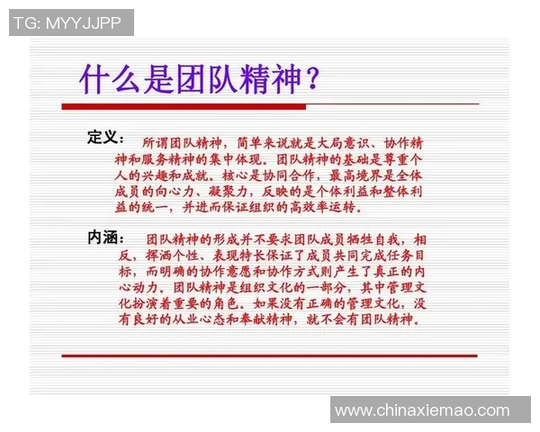 南京足球队在总决赛中的精彩表现与团队力量的深度解析 南京足球队在总决赛中的精彩表现与团队力量的深度解析
