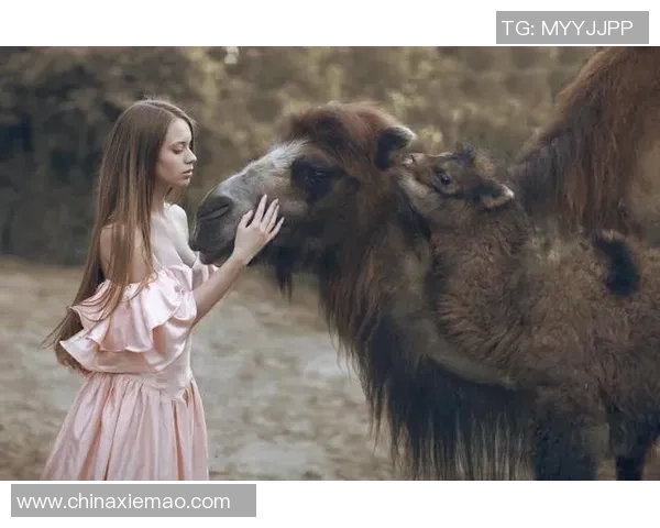 肯豆与足球明星亲密合影引发热议时尚与运动的完美结合 肯豆与足球明星亲密合影引发热议时尚与运动的完美结合