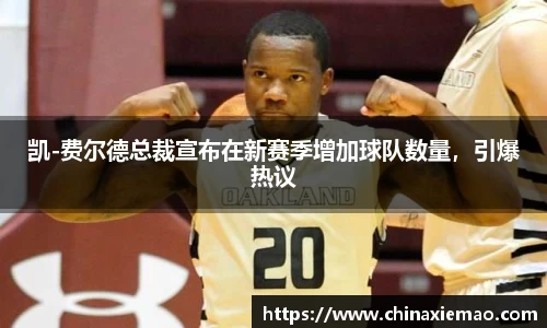 凯-费尔德总裁宣布在新赛季增加球队数量，引爆热议