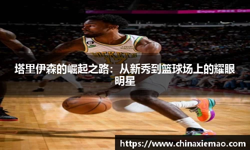 塔里伊森的崛起之路：从新秀到篮球场上的耀眼明星