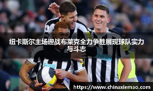 南宫集团